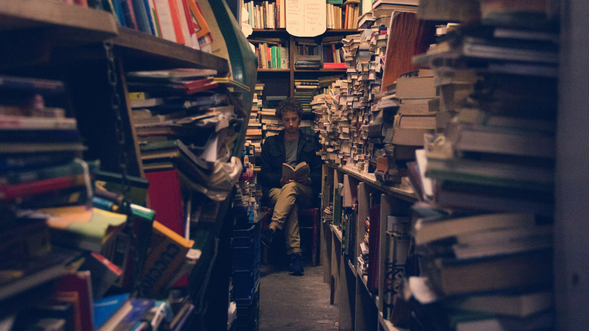 Ergodic LIterature