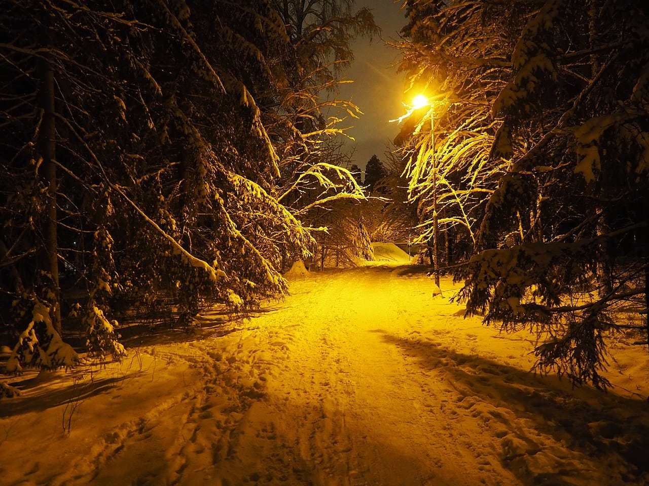 Stopping by Woods on a Snowy Evening