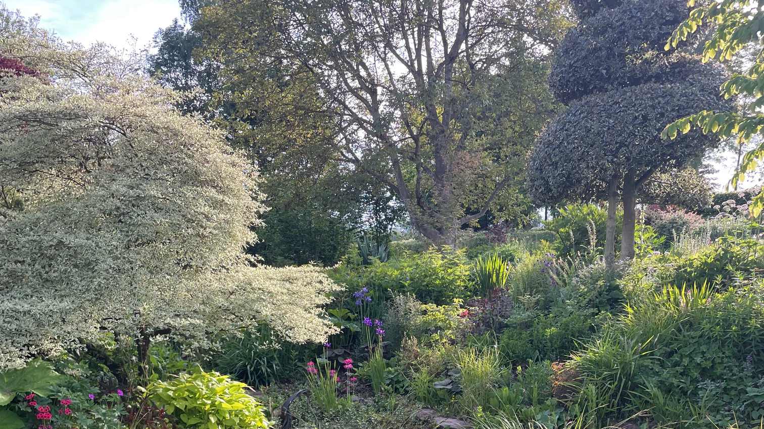 Gardening Jobs: July