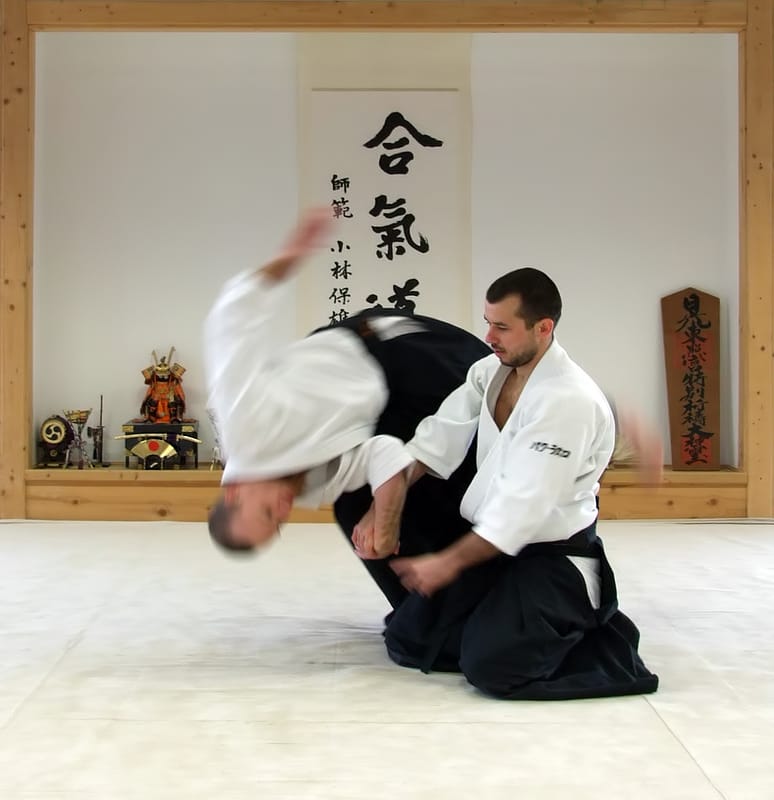 Aikido: 6th Kyu / Rokkyu – Grading Syllabus